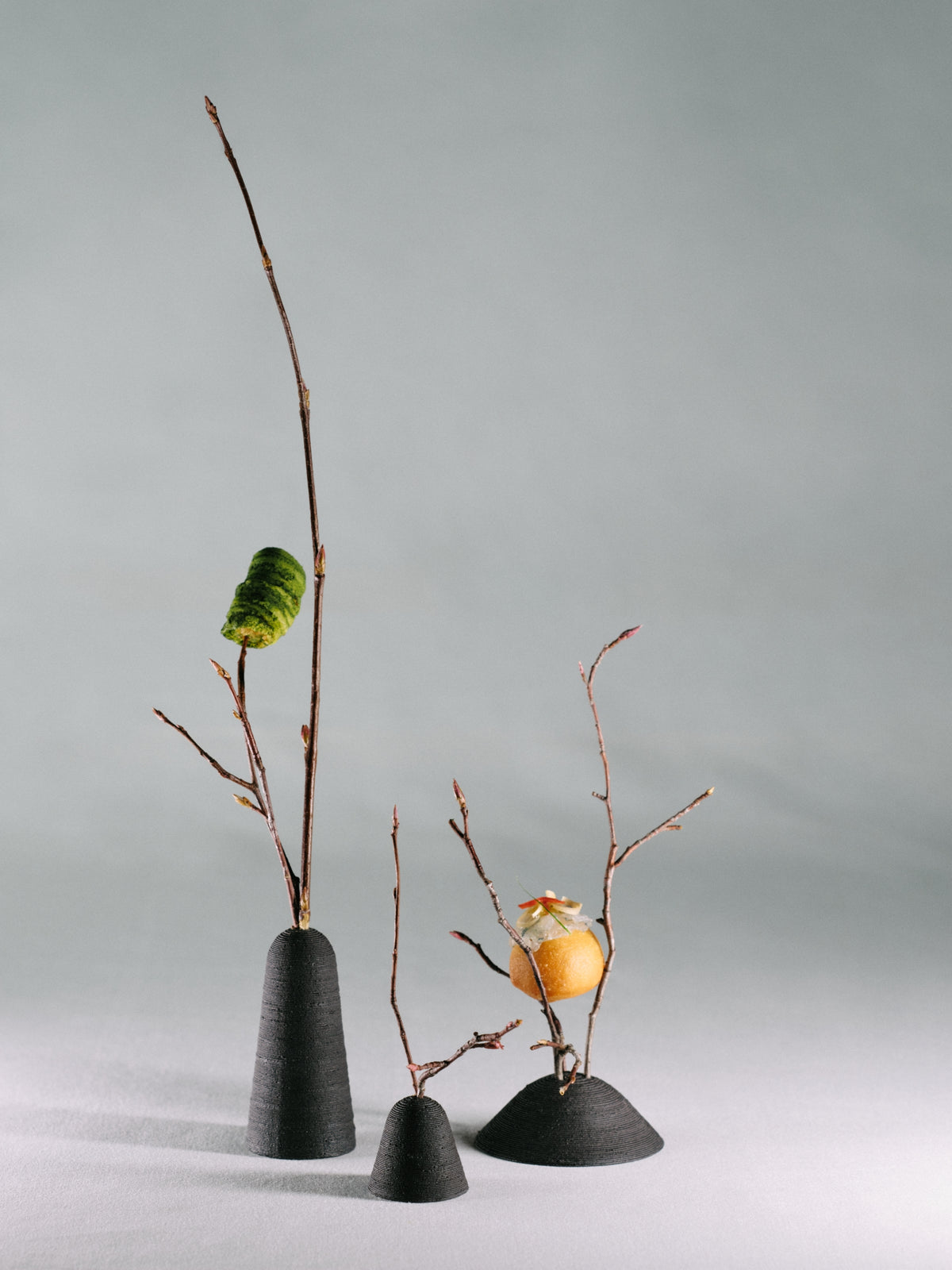 Flora Display Set – Schwarz-7