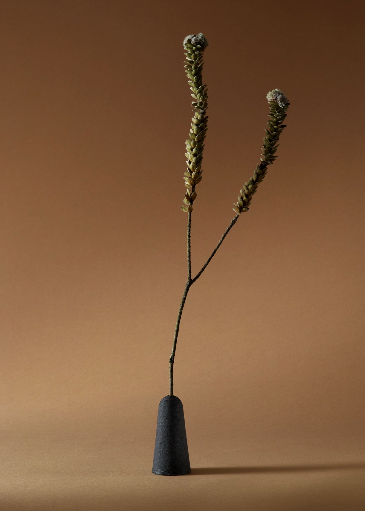 Flora Display Set – Schwarz-5