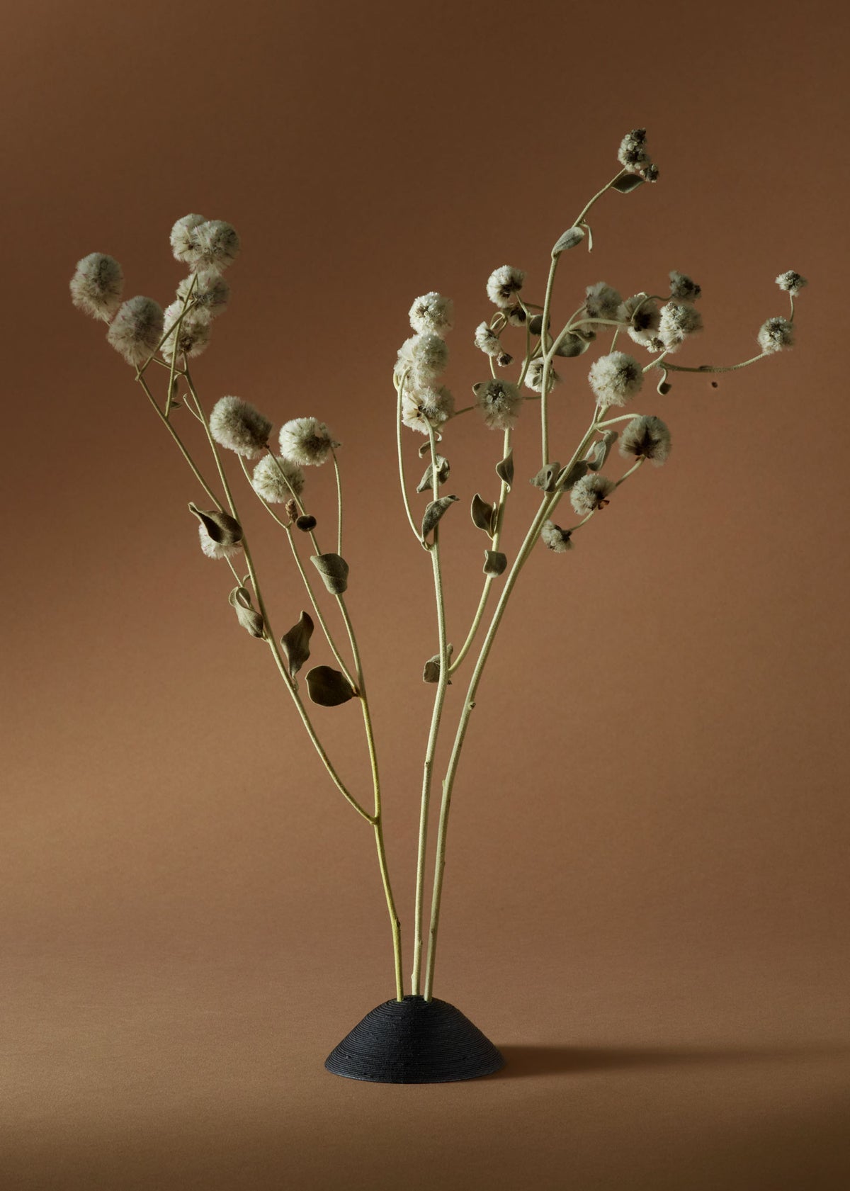 Flora Display Set – Schwarz-4