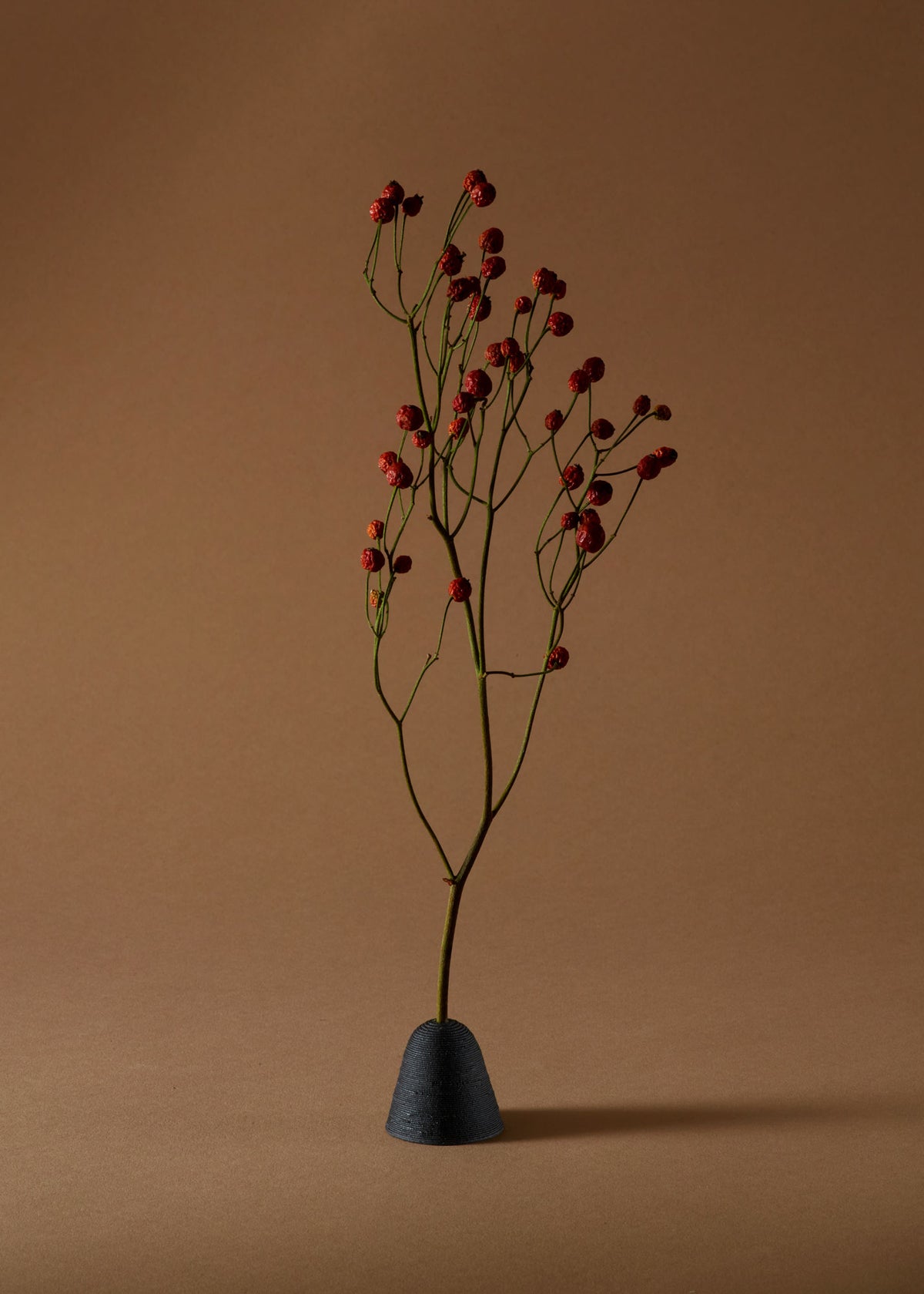 Flora Display Set – Schwarz-3