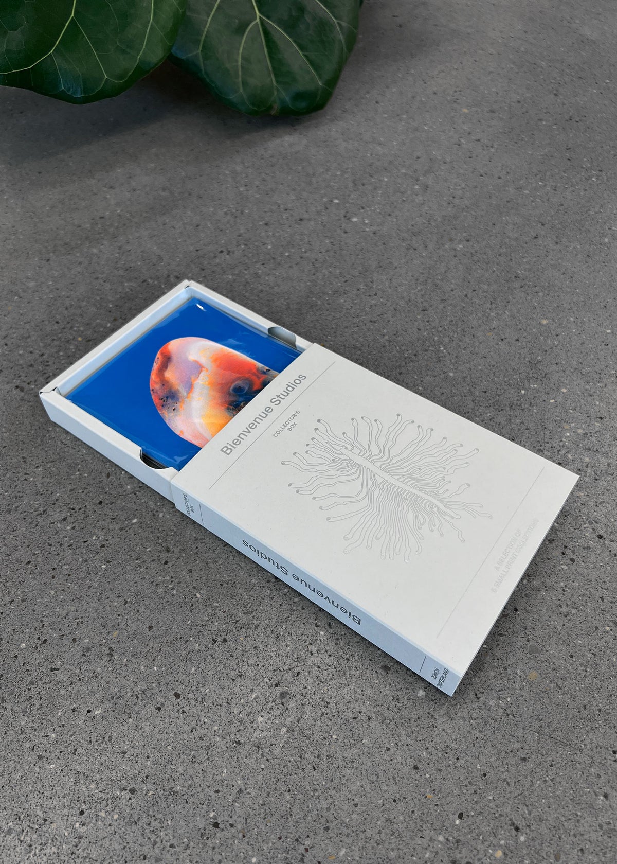 Collector’s Box 1