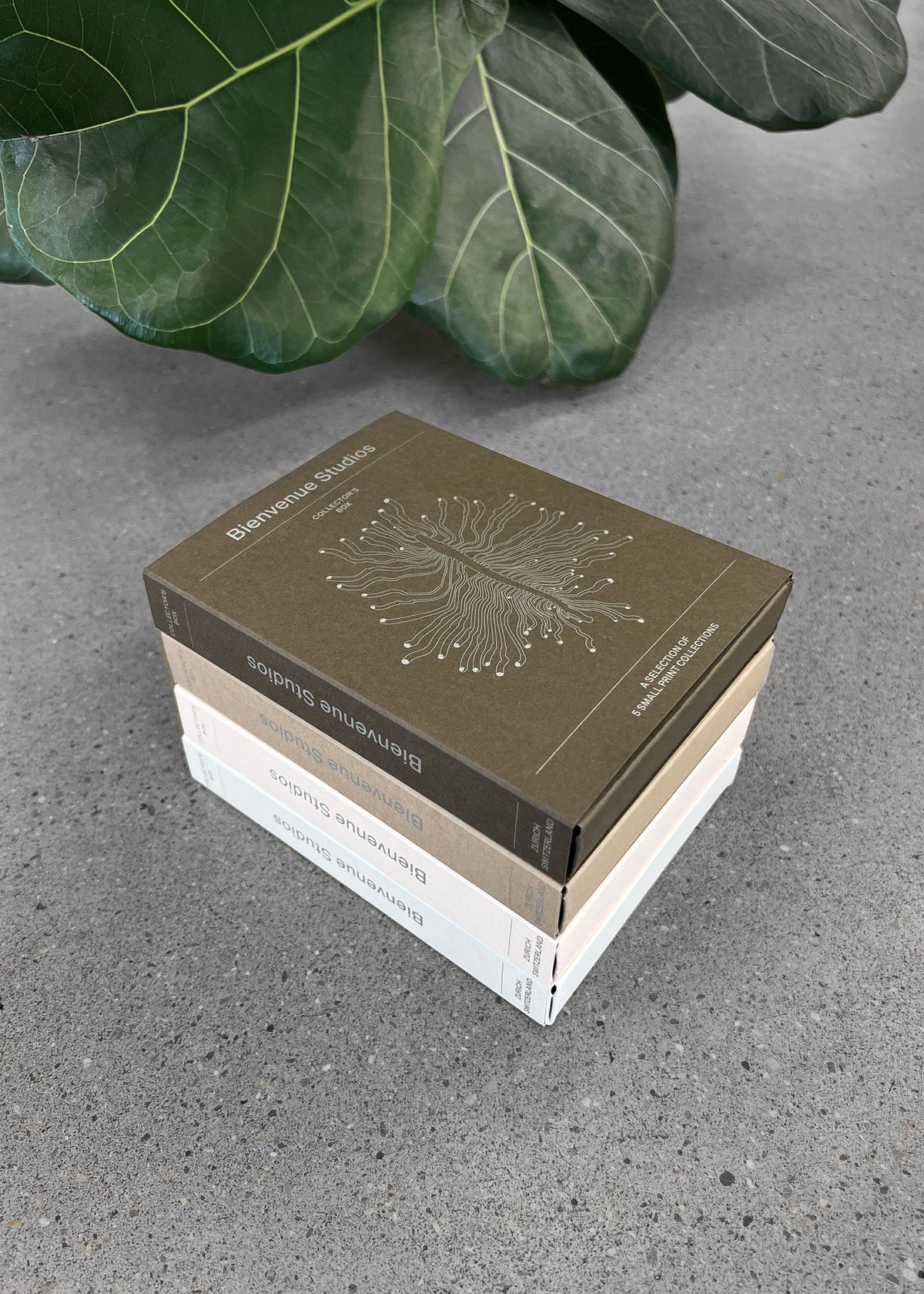 Collector’s Box Set-3