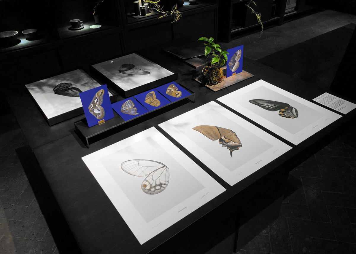 Kunstdruck Sun Fluttering N° 2