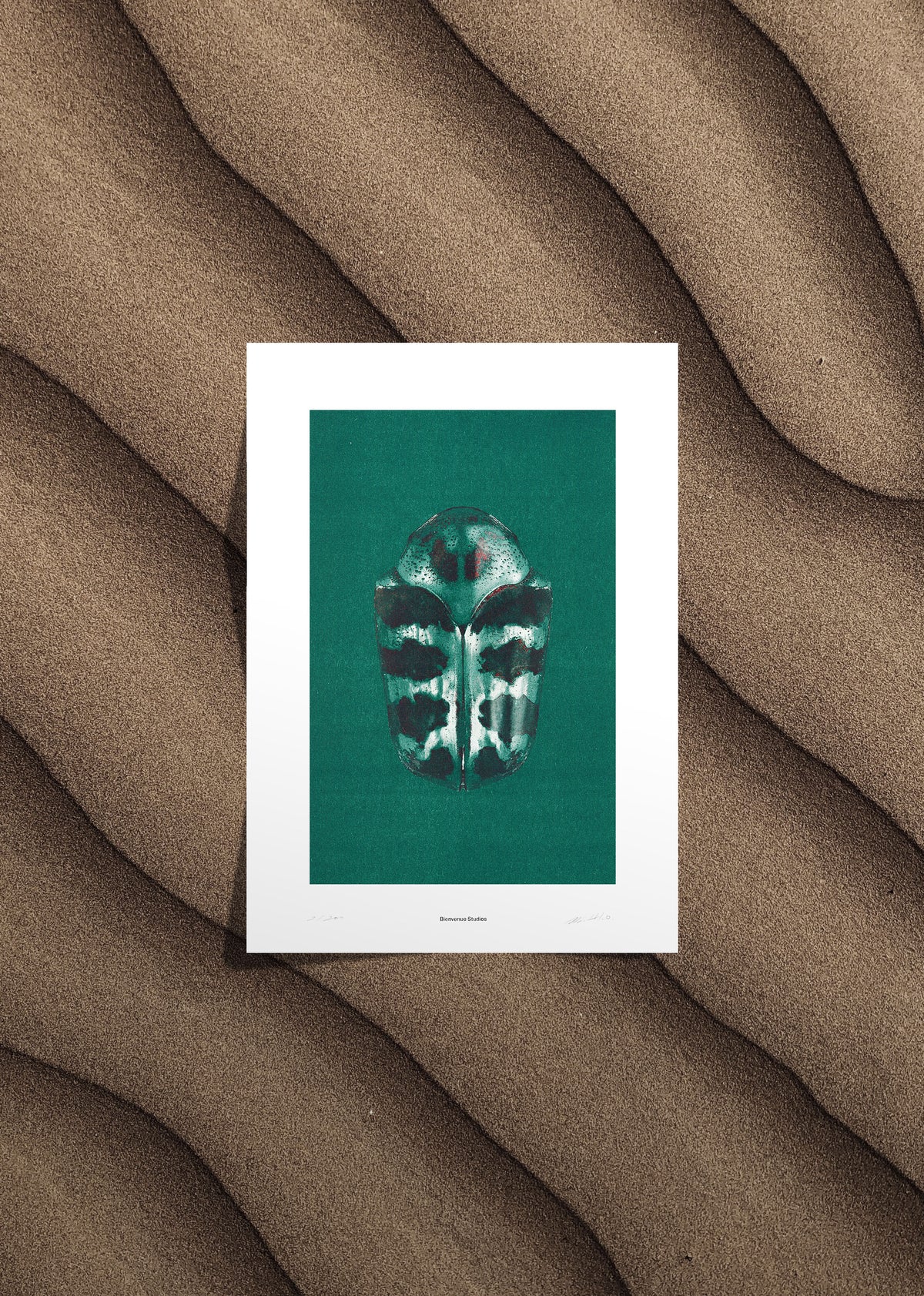 Impression d'art Iridescence N° 1-4