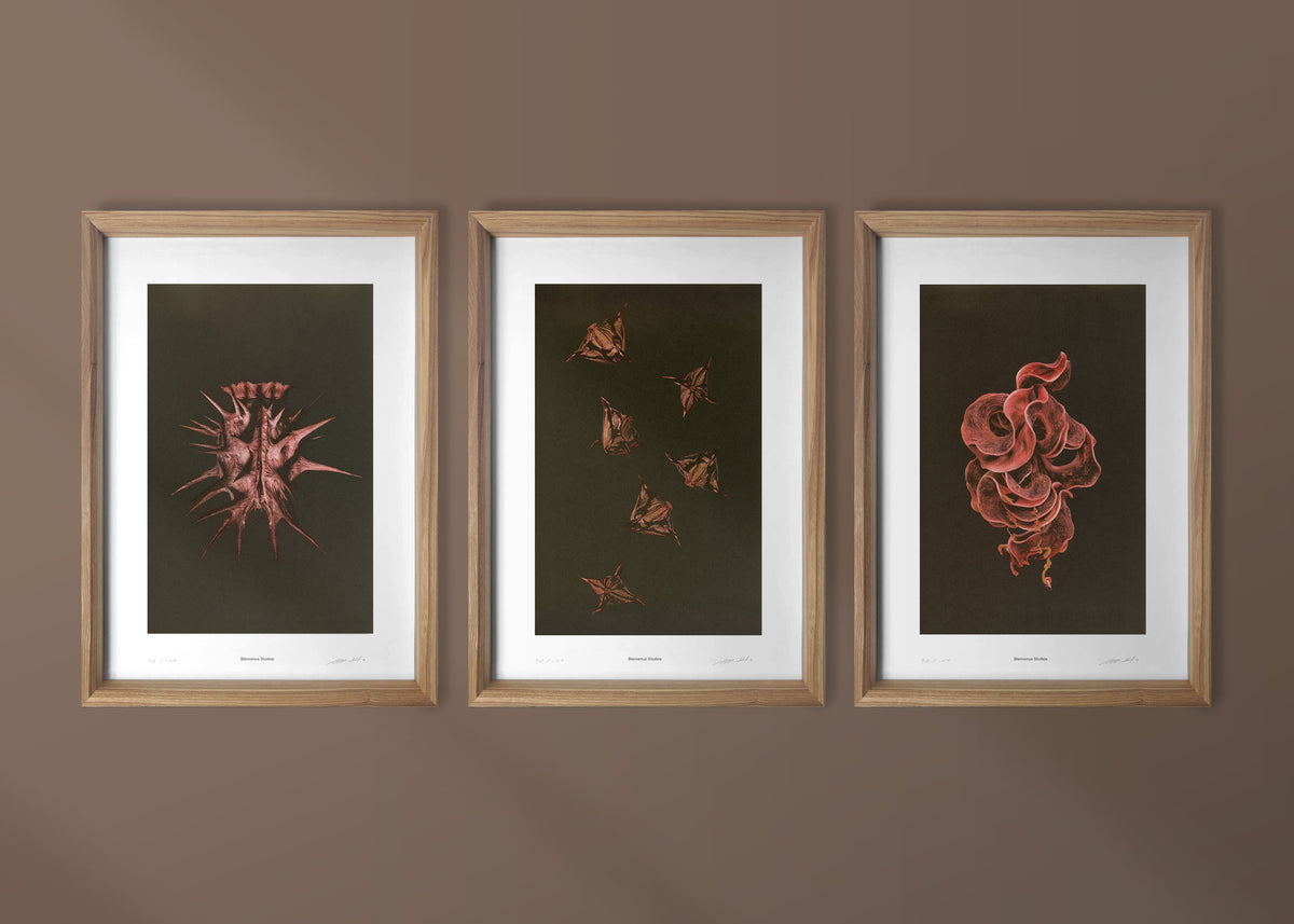 Kunstdrucke Origins – 3er-Set
