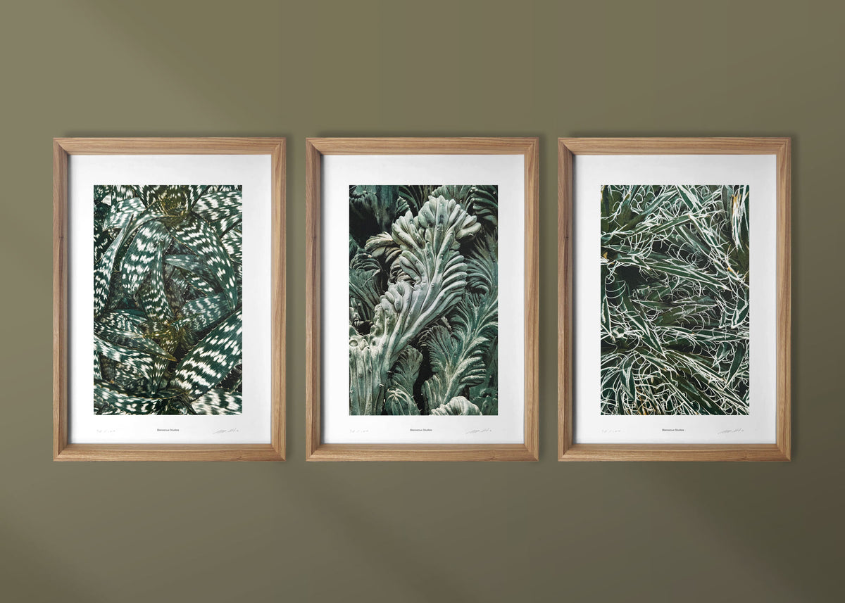 Kunstdrucke Quiet Water – 3er-Set