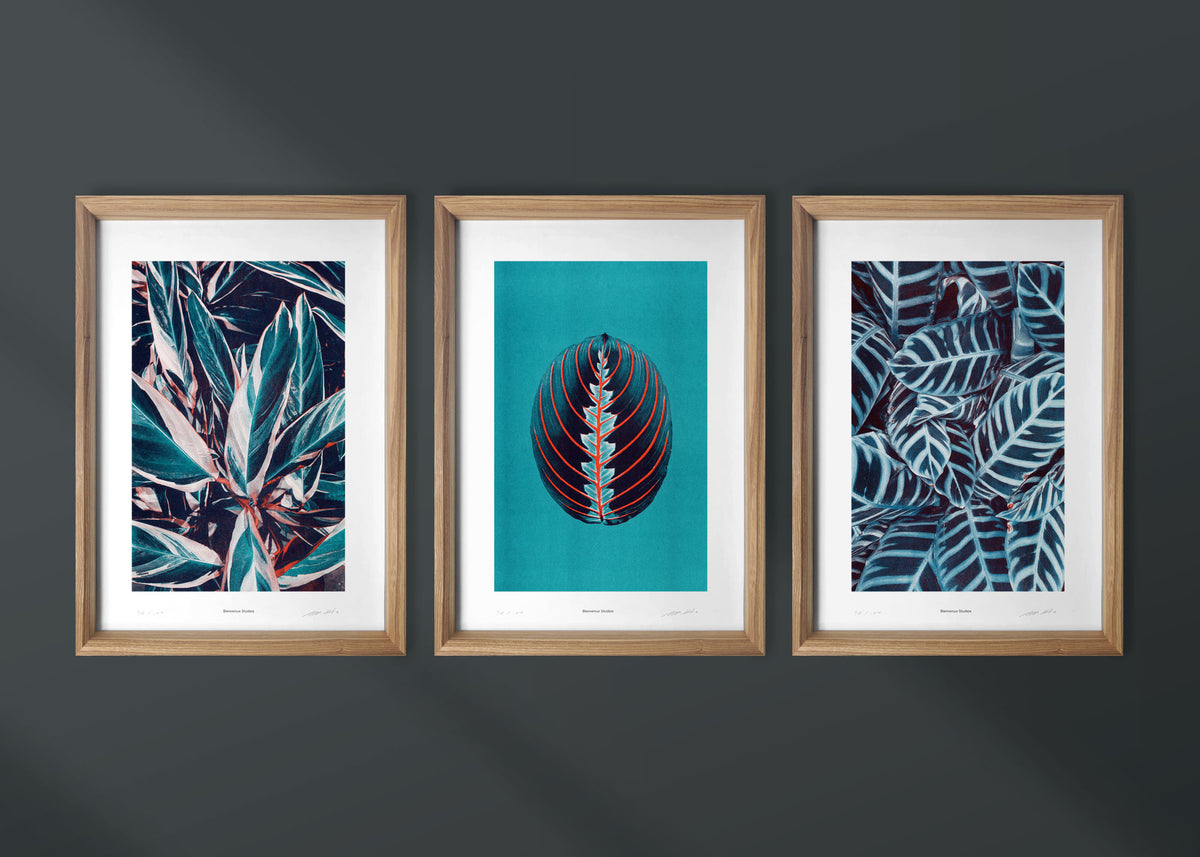 Kunstdrucke Praying Hands – 3er-Set