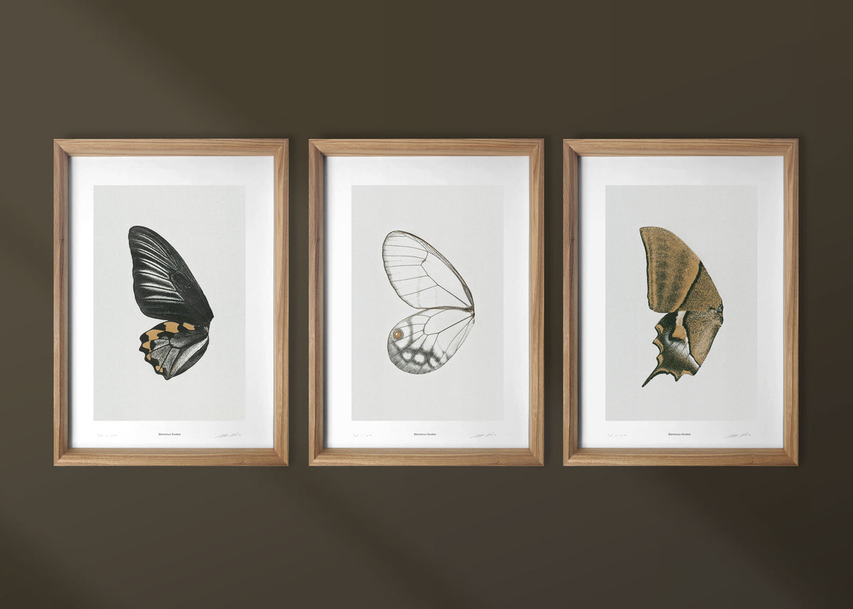 Kunstdrucke Sun Fluttering – 3er-Set
