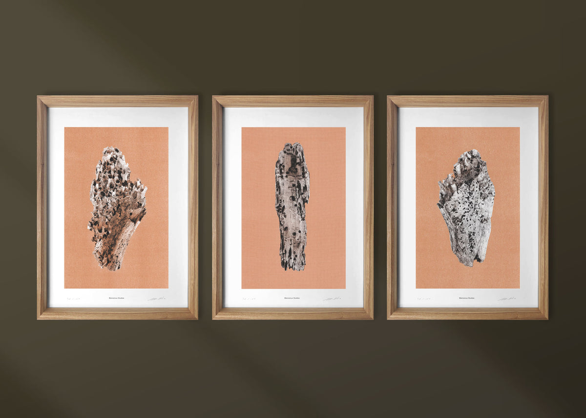 Kunstdrucke Virtues of Wood – 3er-Set