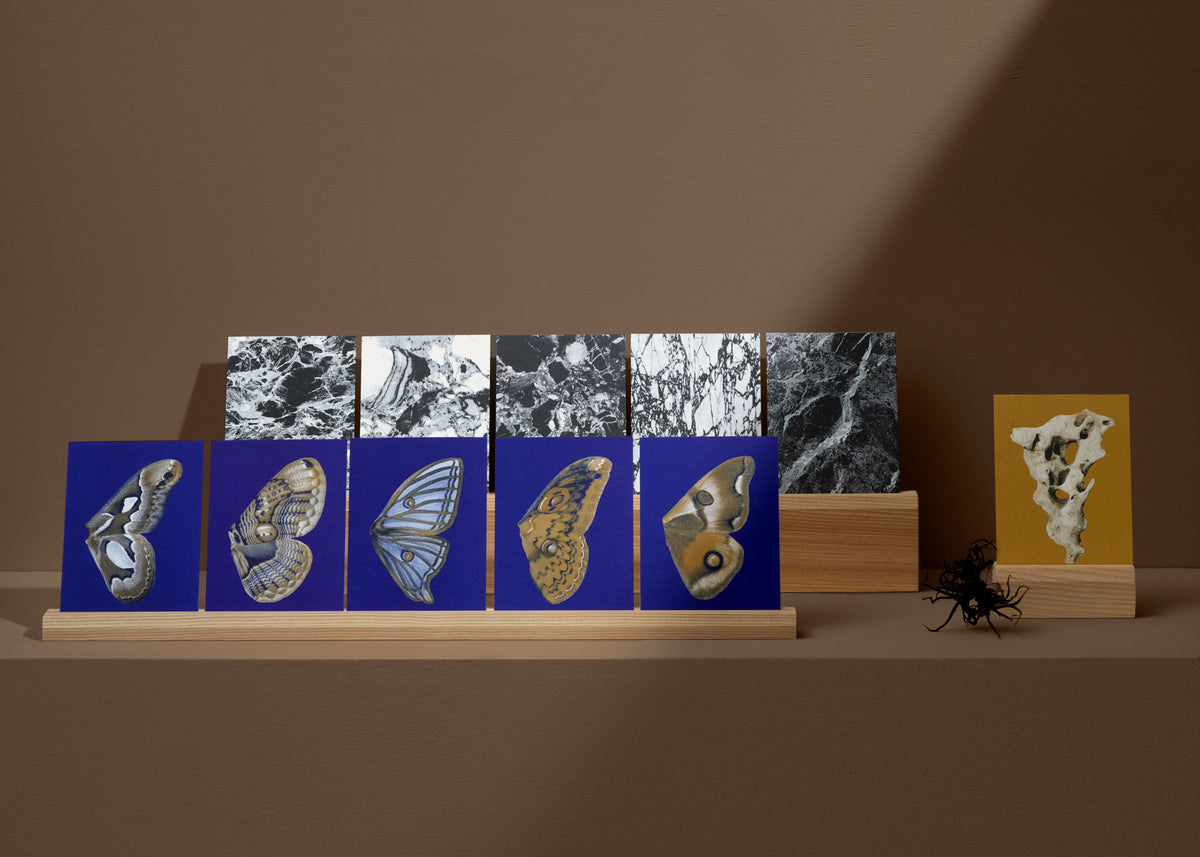 Jeu de cartes N° 14 – Moon Fluttering-7