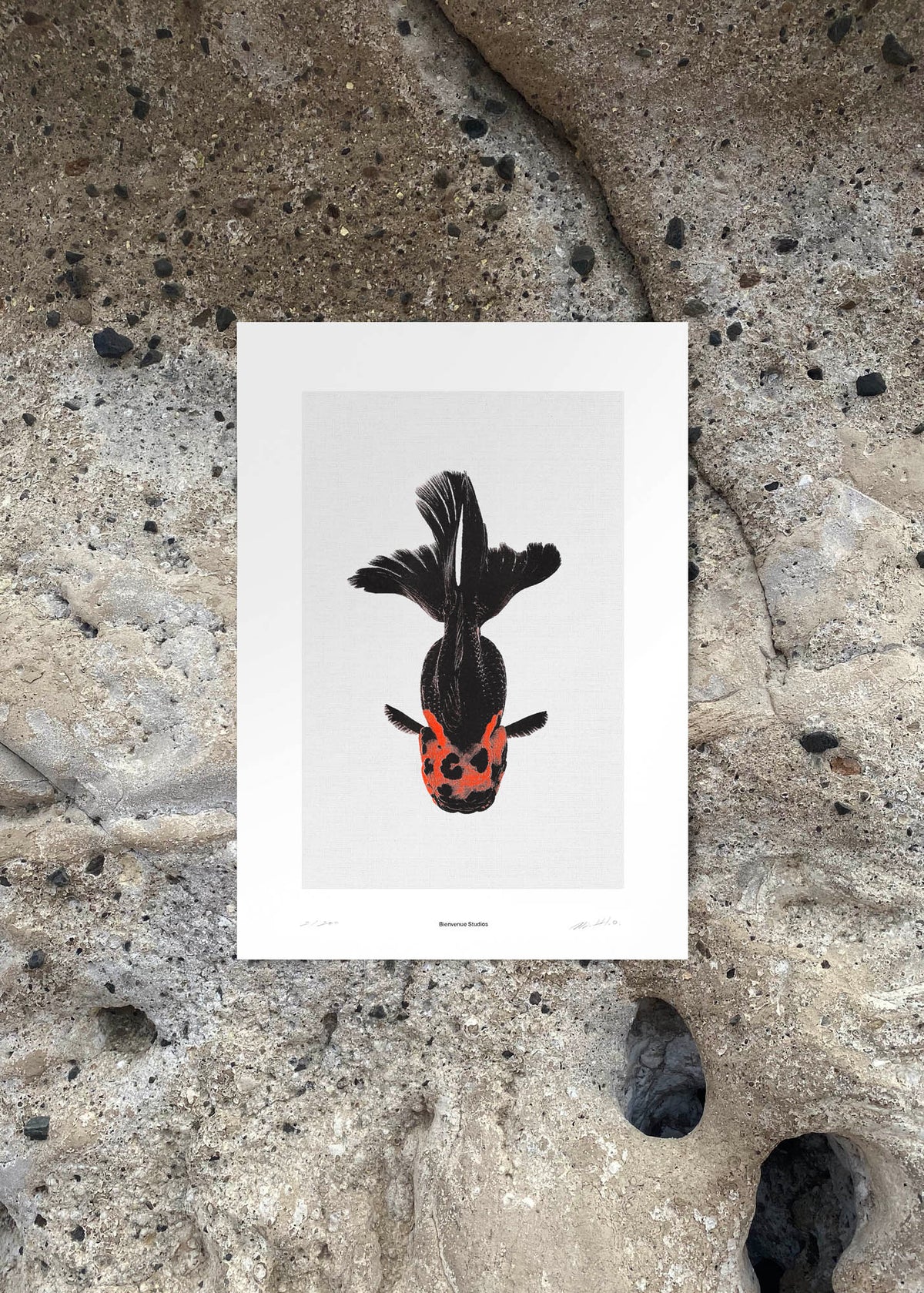 Impression d'art Morbid Being N° 2-5