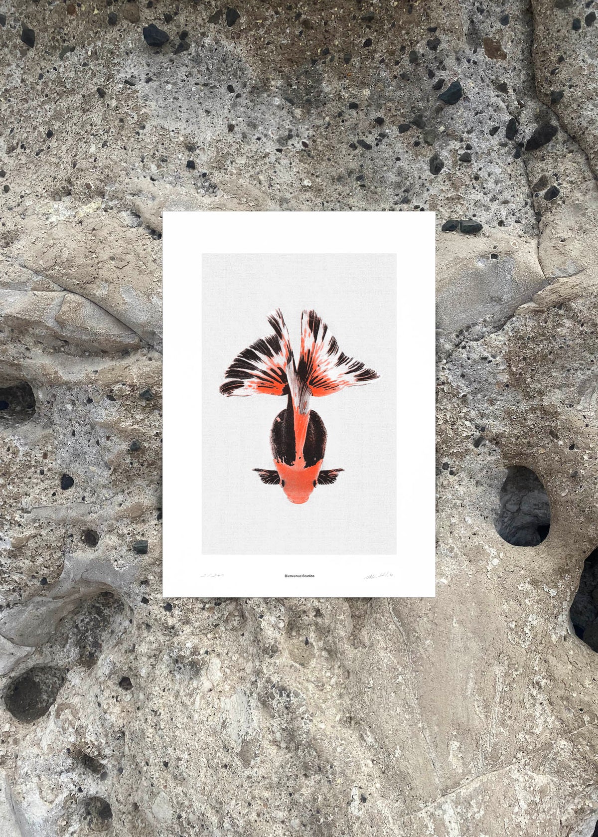 Kunstdruck Morbid Being N° 3