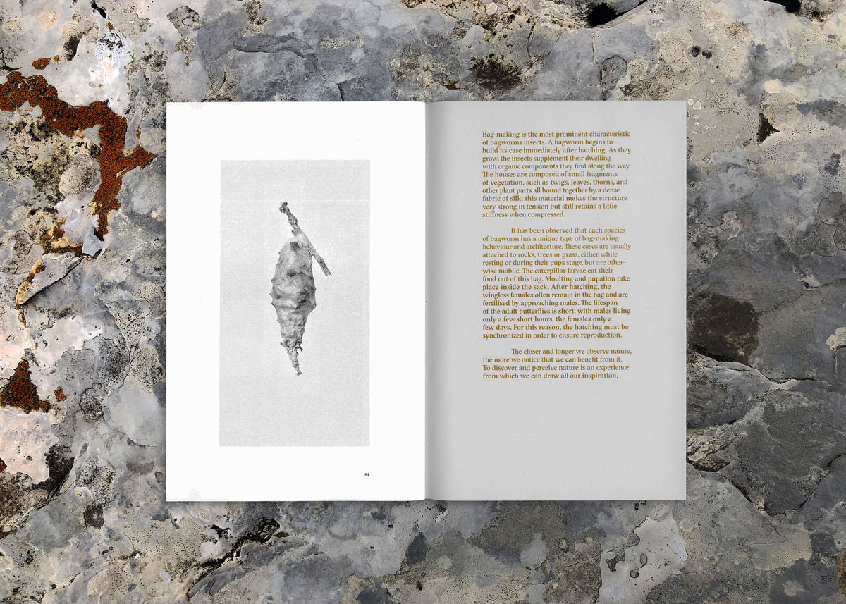 Art book Silk Pagodas-3