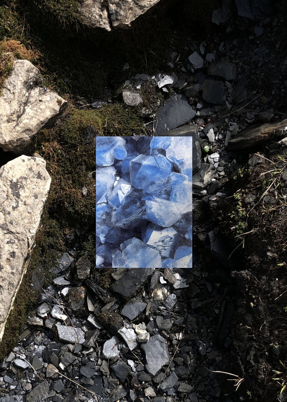 Card Set No. 16 – Helvetic Treasures-5