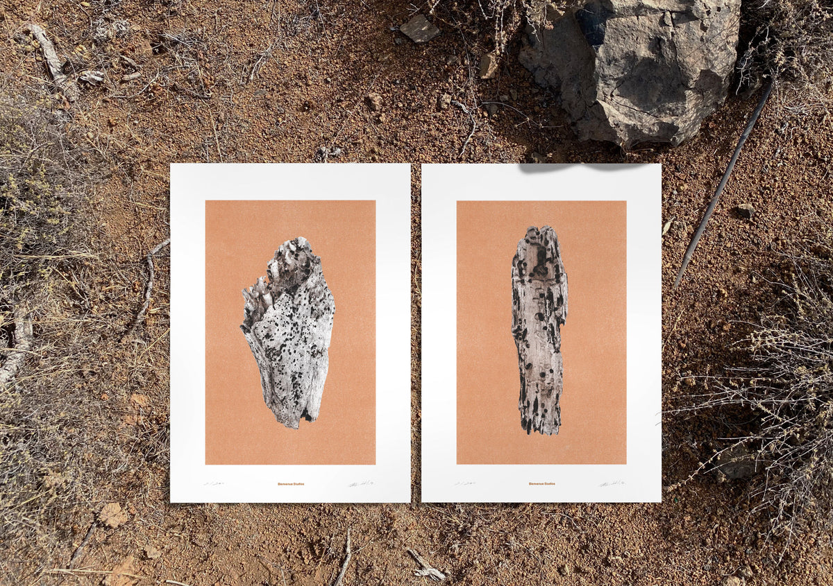 Impression d'art Virtues of Wood N° 2-4