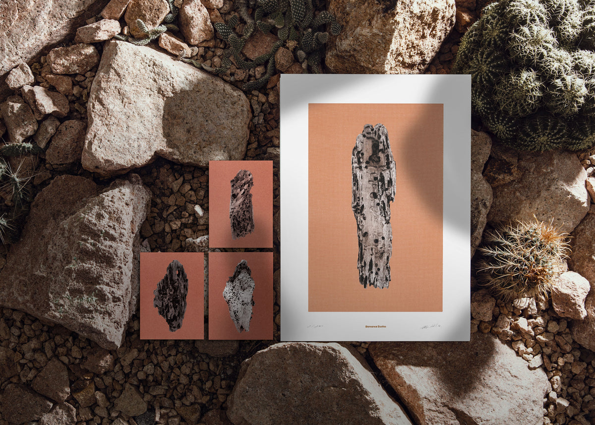 Kunstdruck Virtues of Wood N° 2