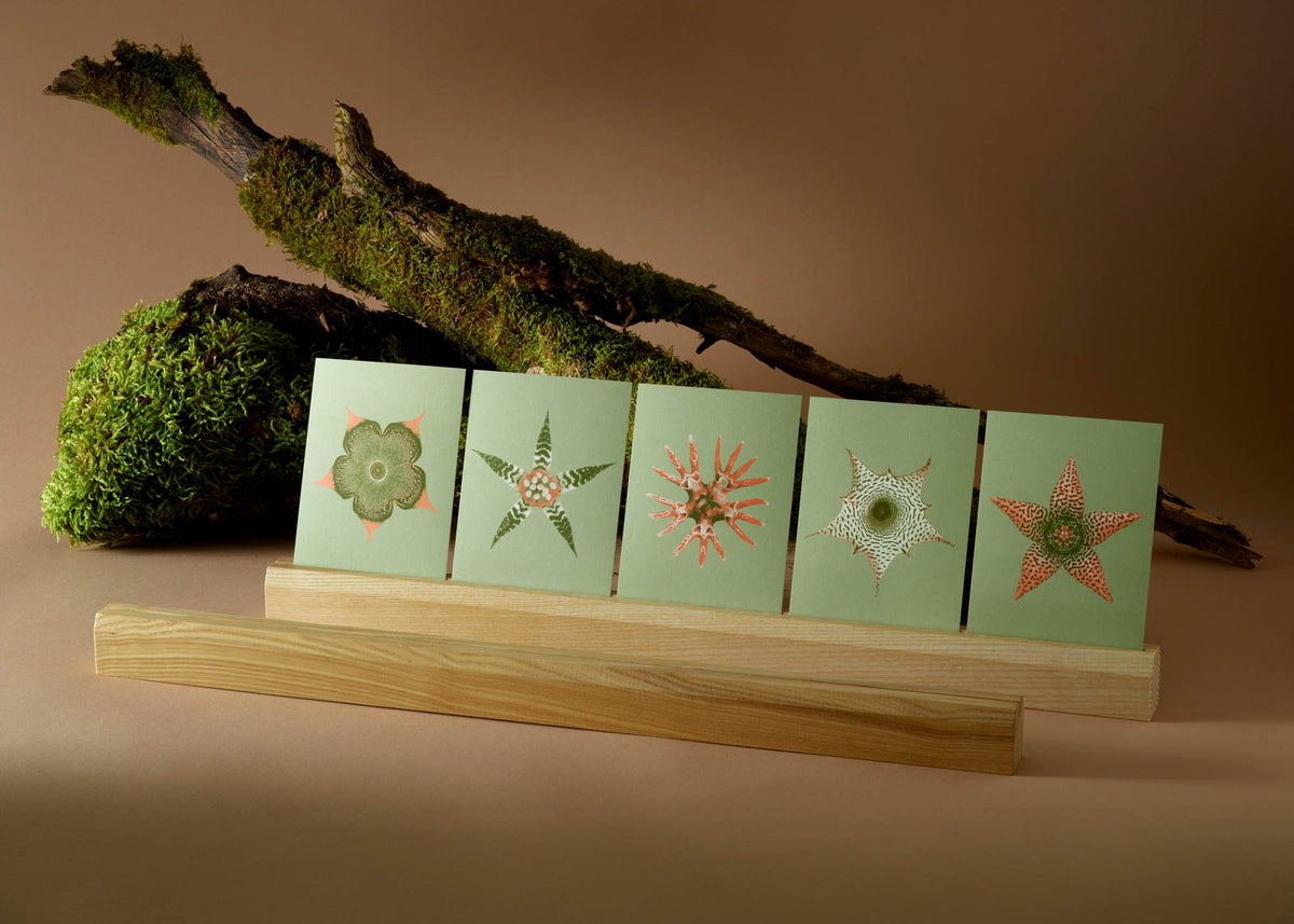 Kartenset N° 15 – Ephemeral Blooming-6