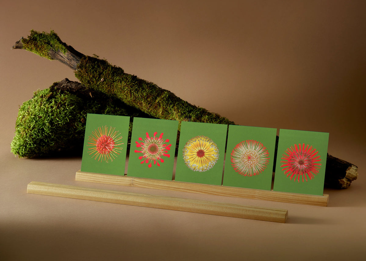 Kartenset N° 19 – Fire Flowers-4