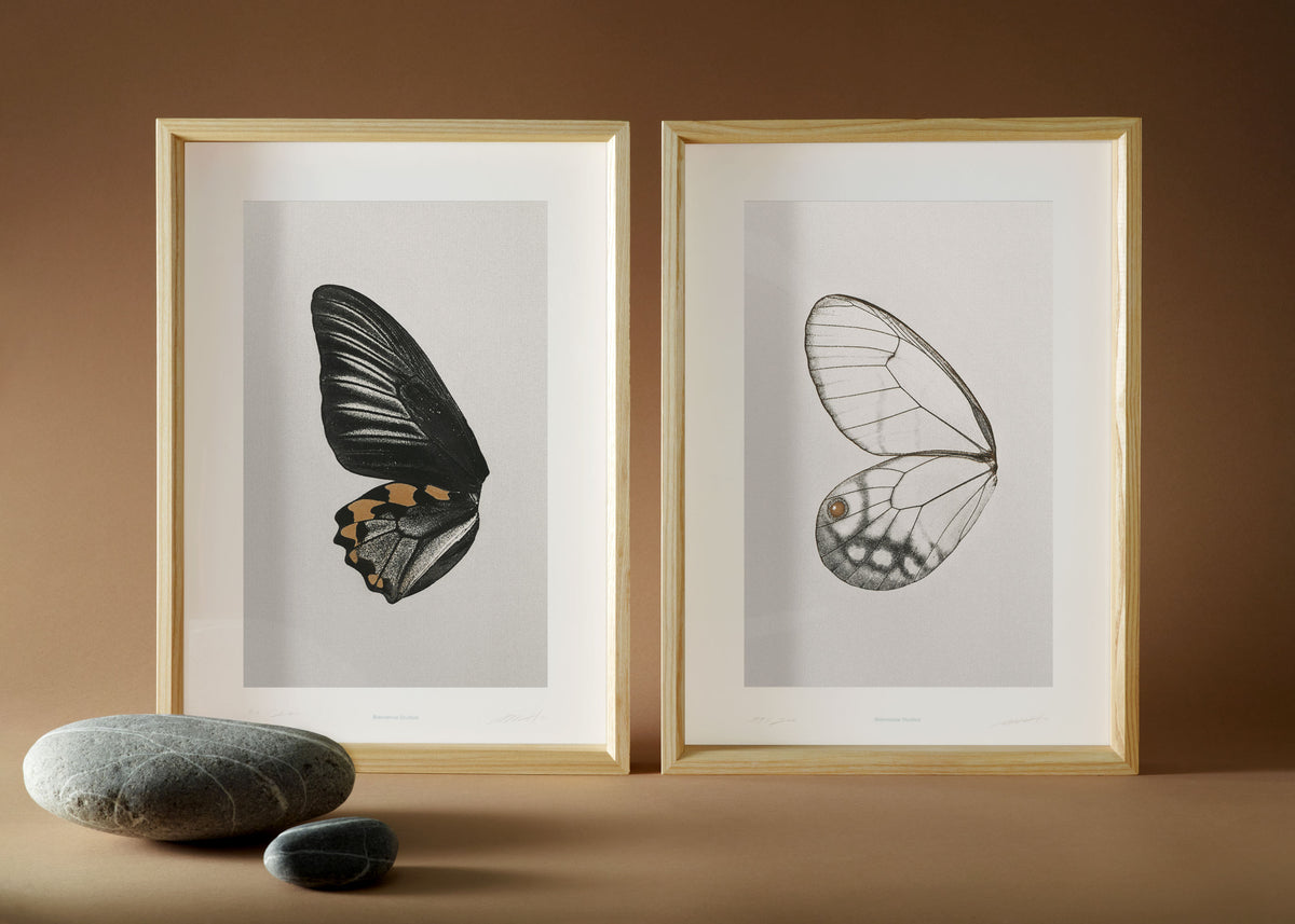 Impression d'art Sun Fluttering N° 2-5