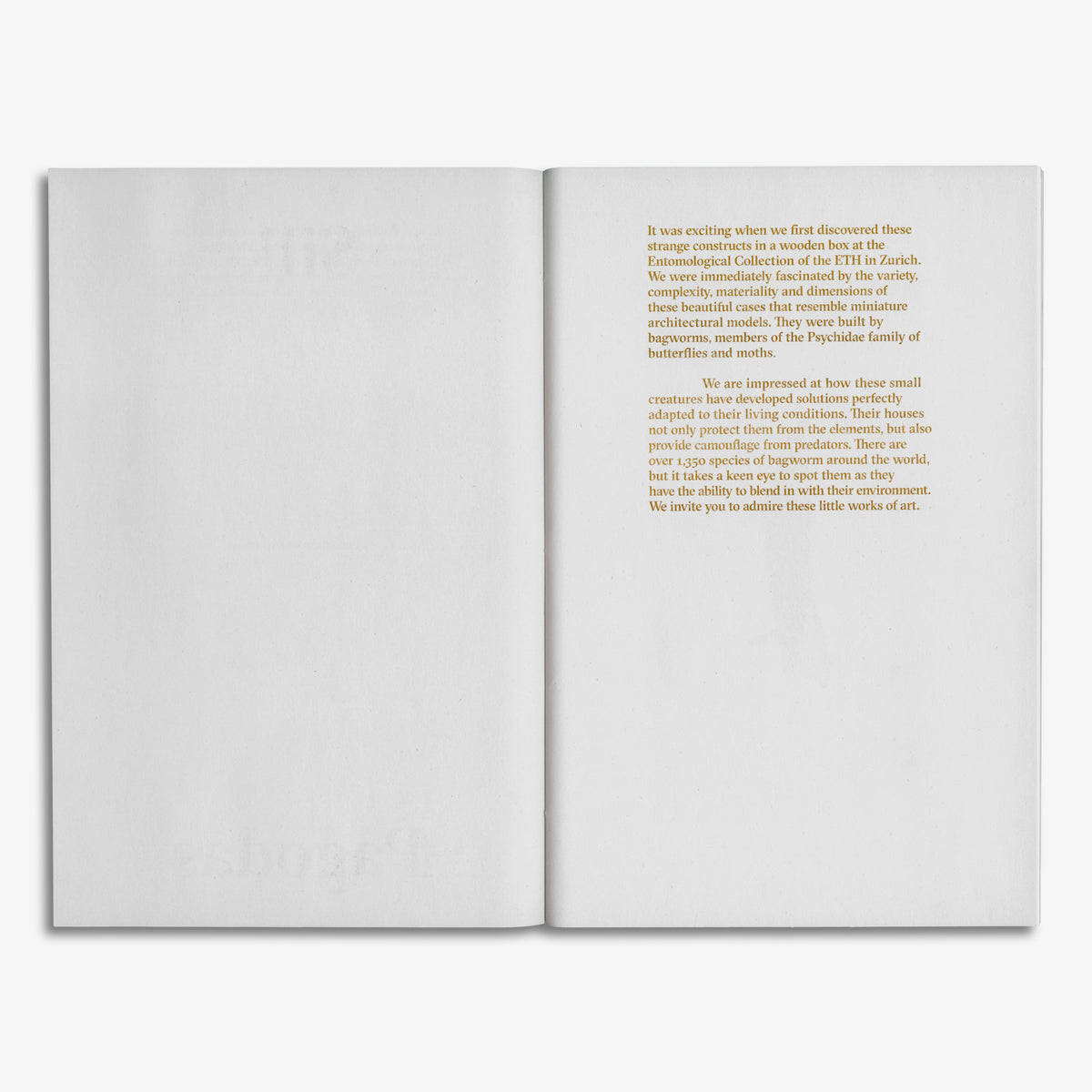 Art book Silk Pagodas-4