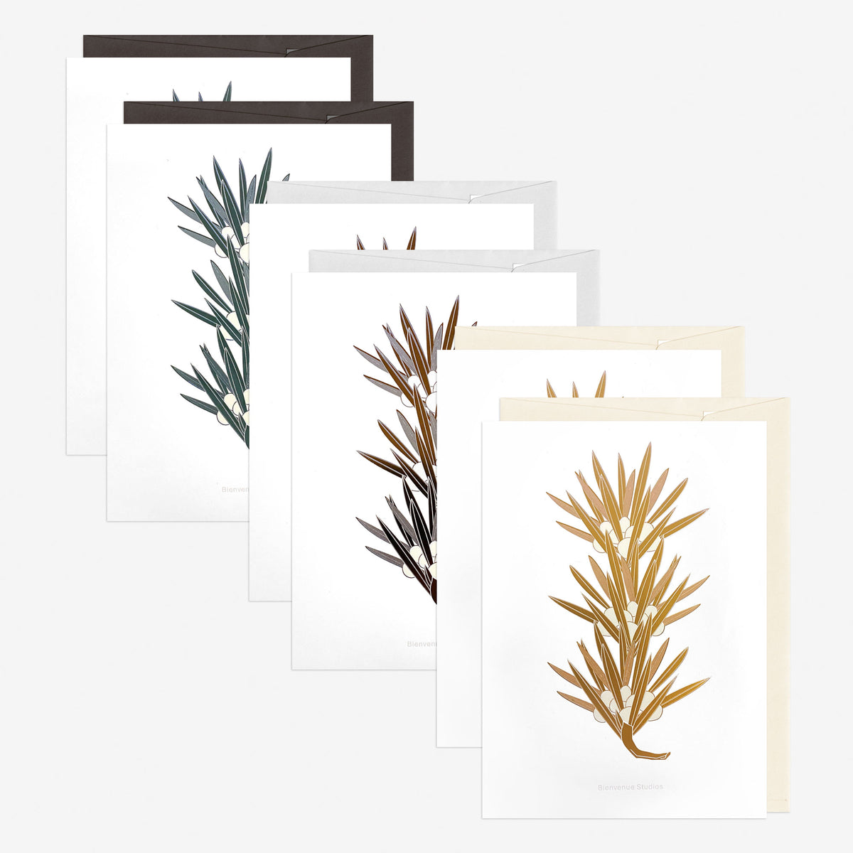 Grusskartenset A5 – Buddhist Pine Edition