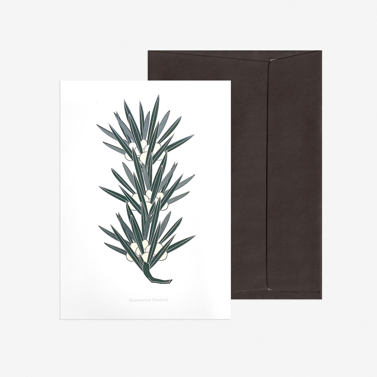 Grusskartenset A5 – Buddhist Pine Edition-4