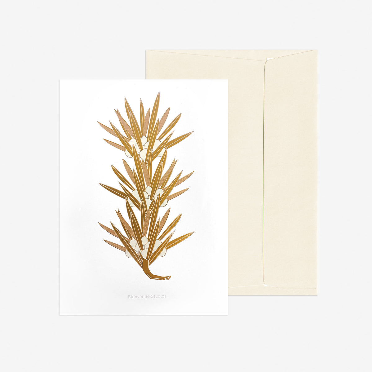 Grusskartenset A5 – Buddhist Pine Edition