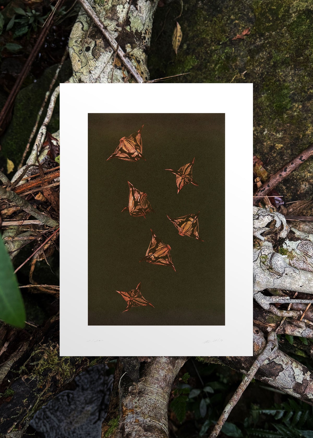 Kunstdruck Origins N° 2