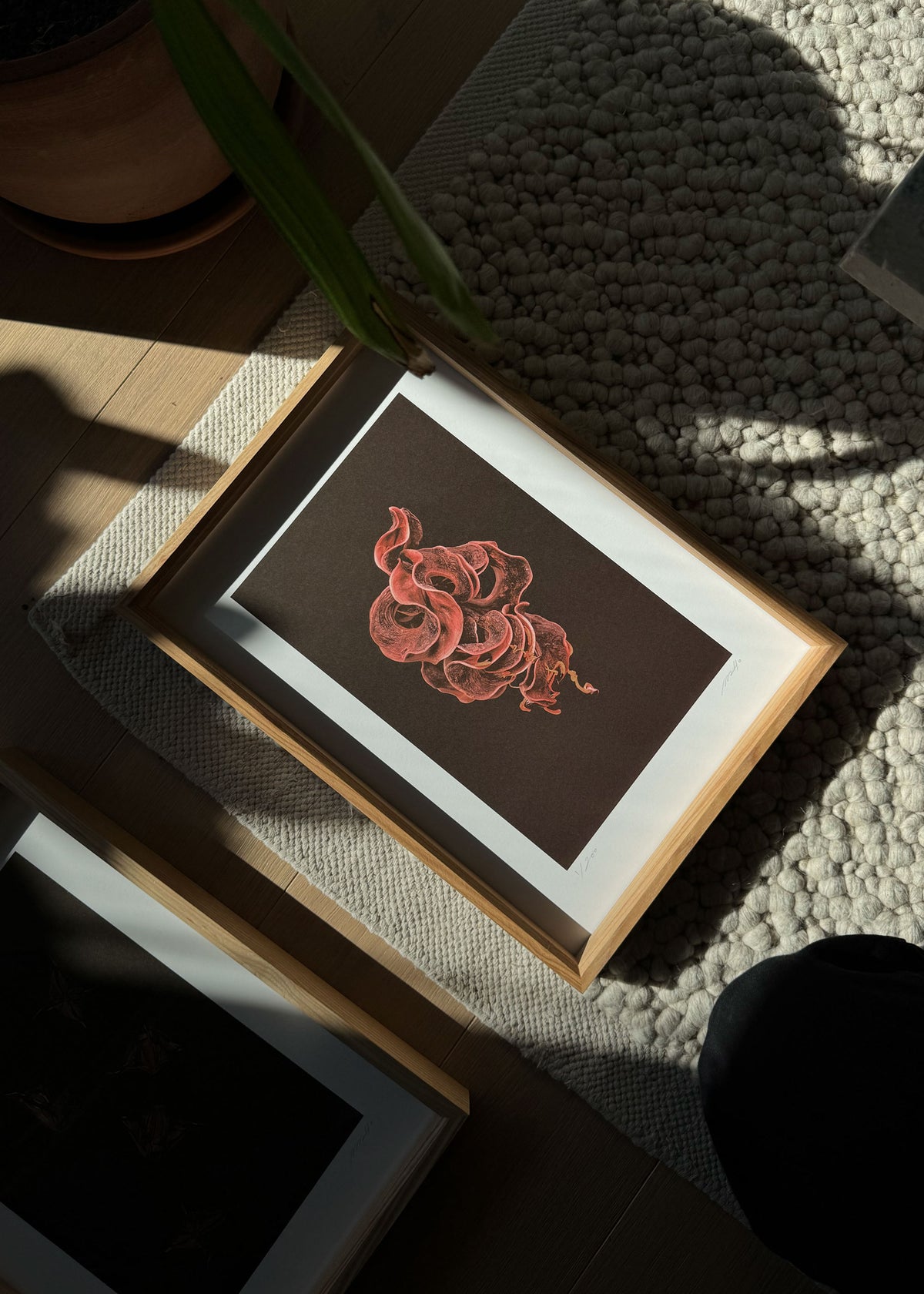 Kunstdruck Origins N° 3