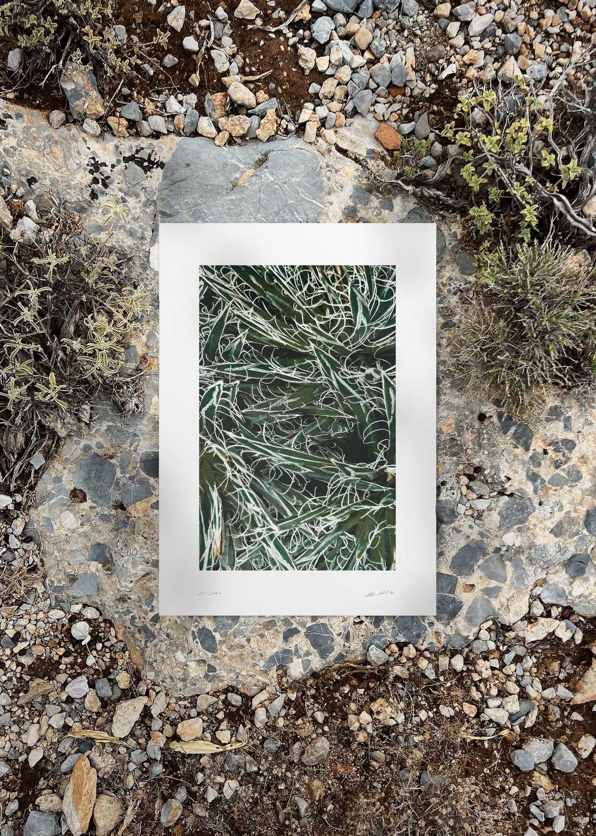 Kunstdruck Quiet Water N° 3-4
