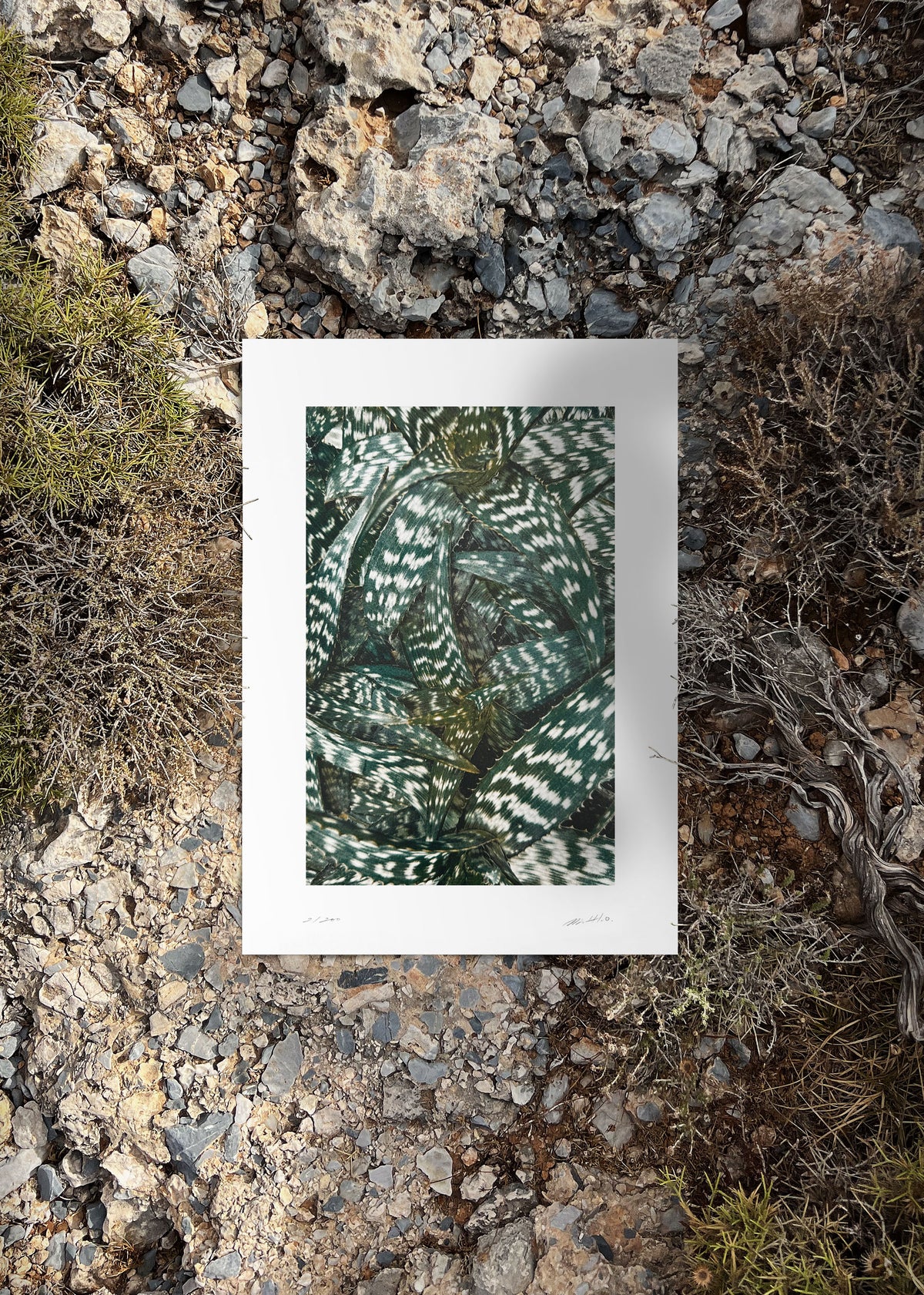 Kunstdruck Quiet Water N° 1