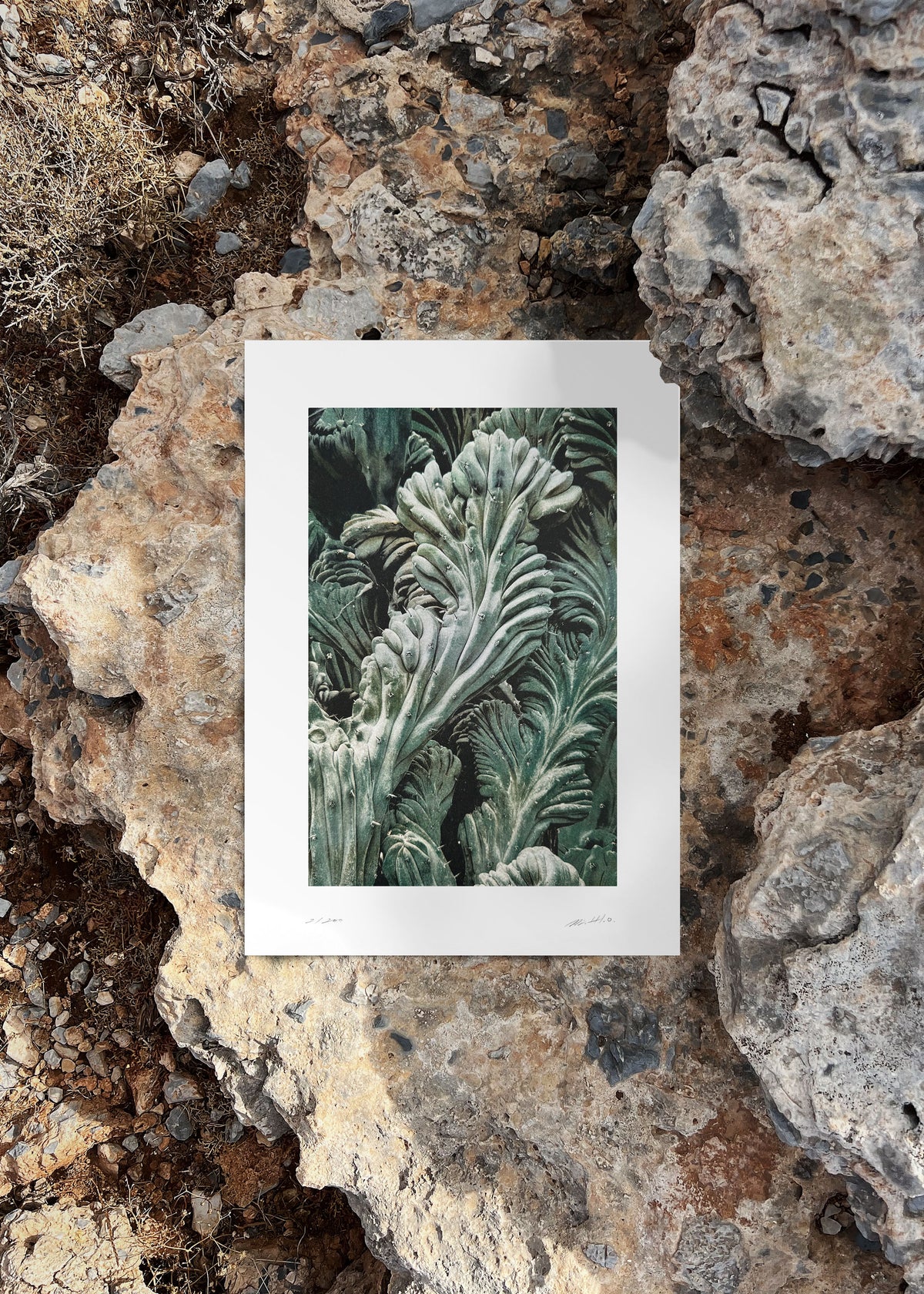 Art print Quiet Water N° 2-5