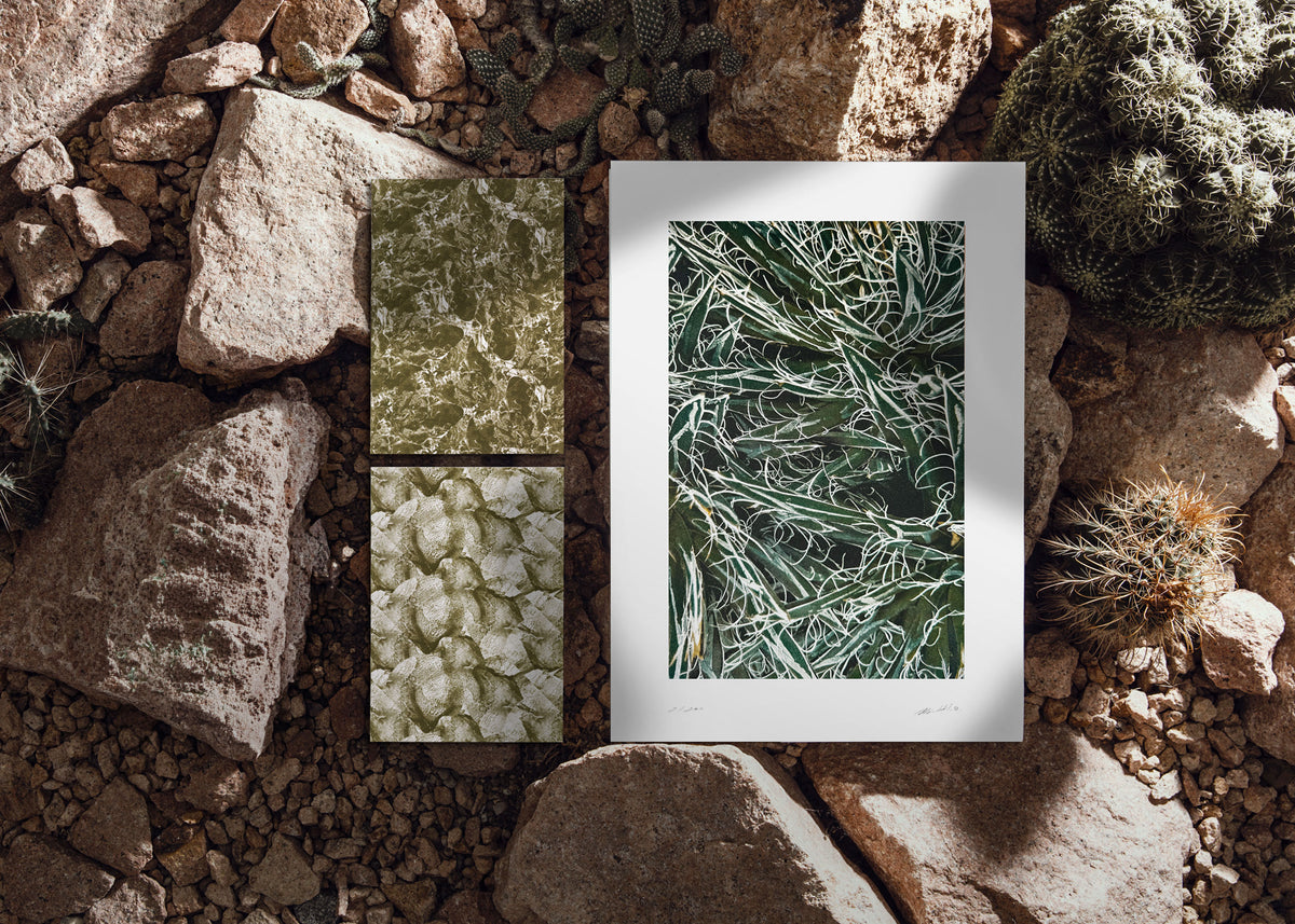 Kunstdruck Quiet Water N° 3