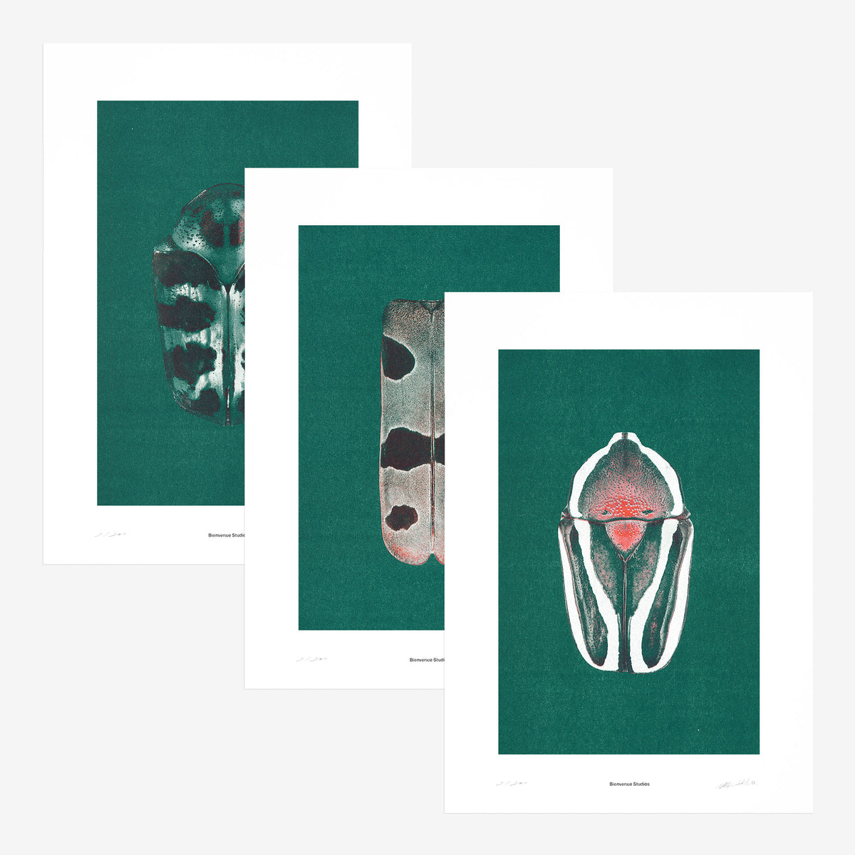 Kunstdrucke Iridescence – 3er-Set
