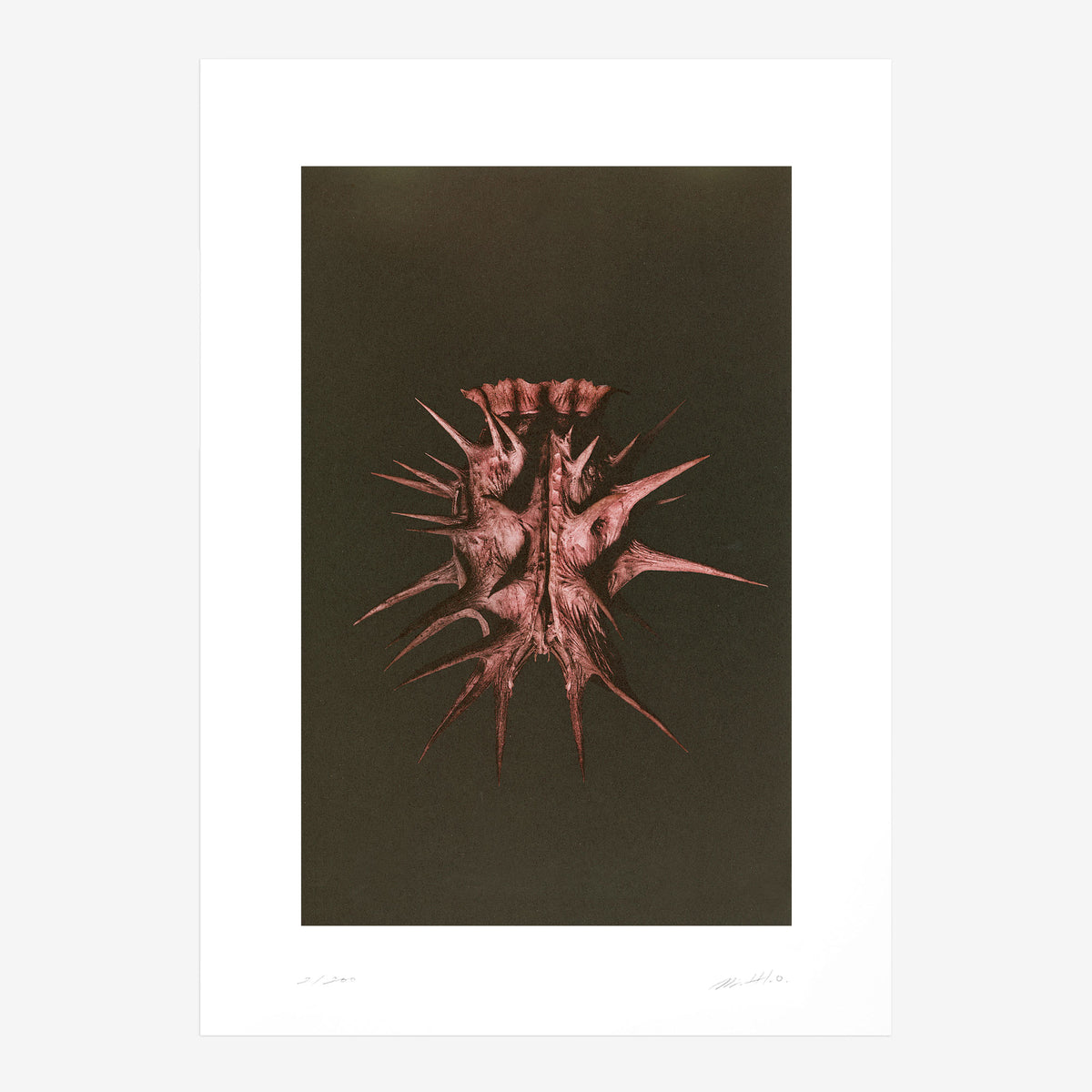 Kunstdruck Origins N° 1