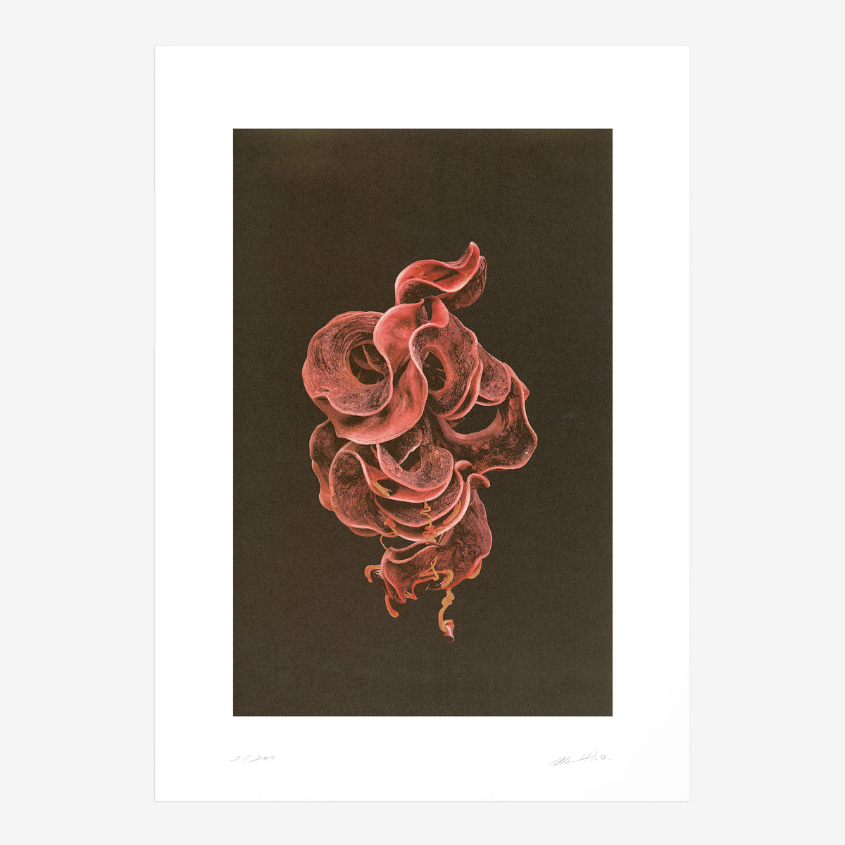 Kunstdruck Origins N° 3