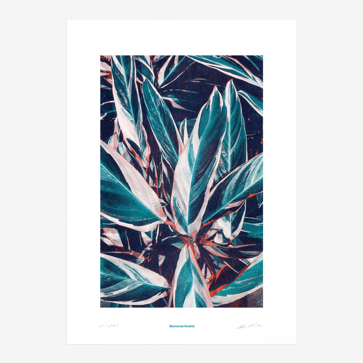 Kunstdruck Praying Hands N° 1