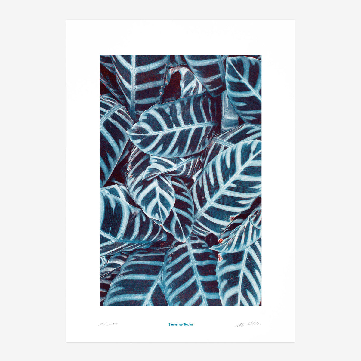 Kunstdruck Praying Hands N° 3