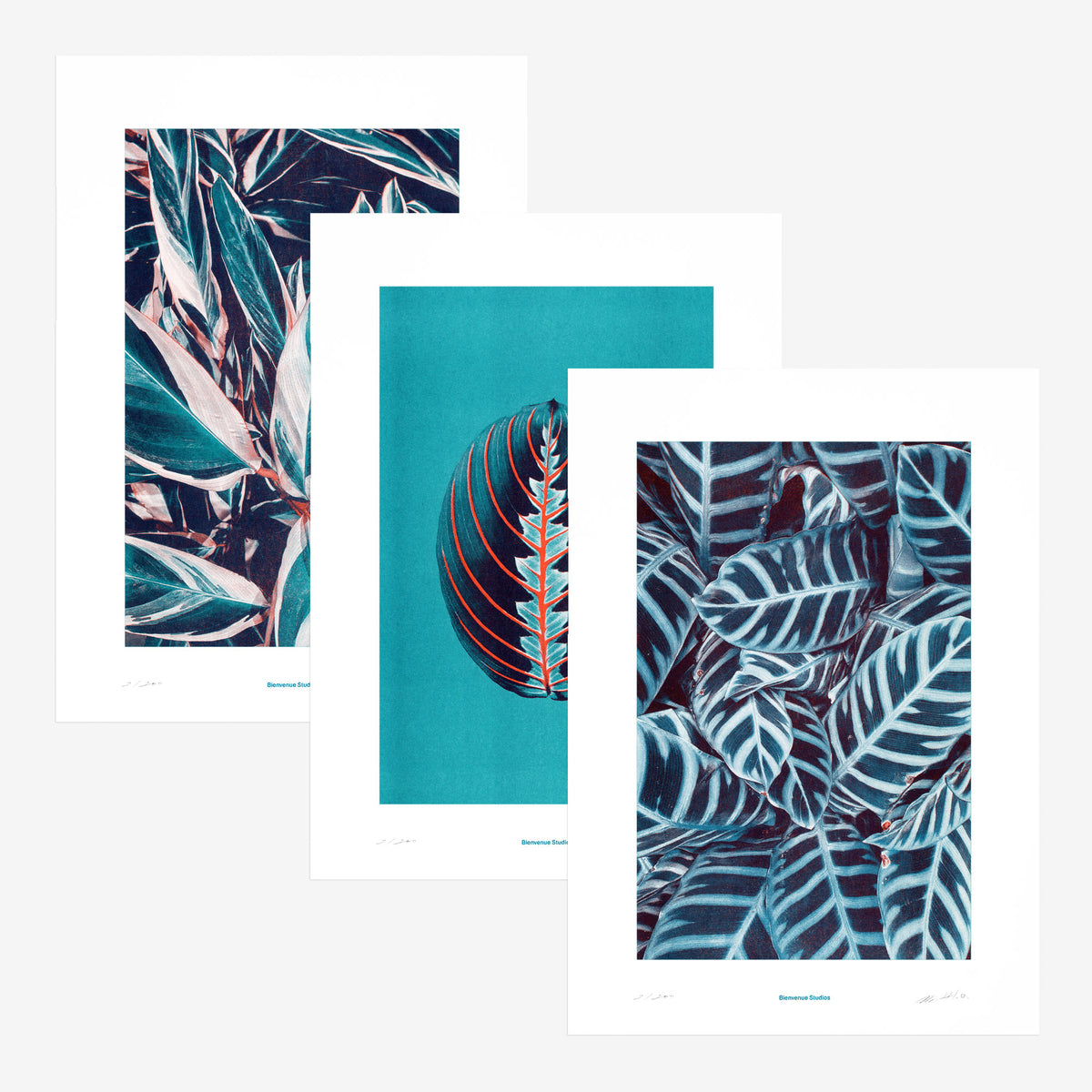 Kunstdrucke Praying Hands – 3er-Set