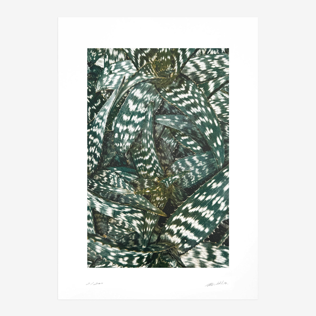 Kunstdruck Quiet Water N° 1