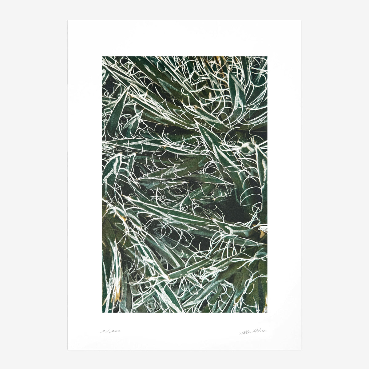 Kunstdruck Quiet Water N° 3