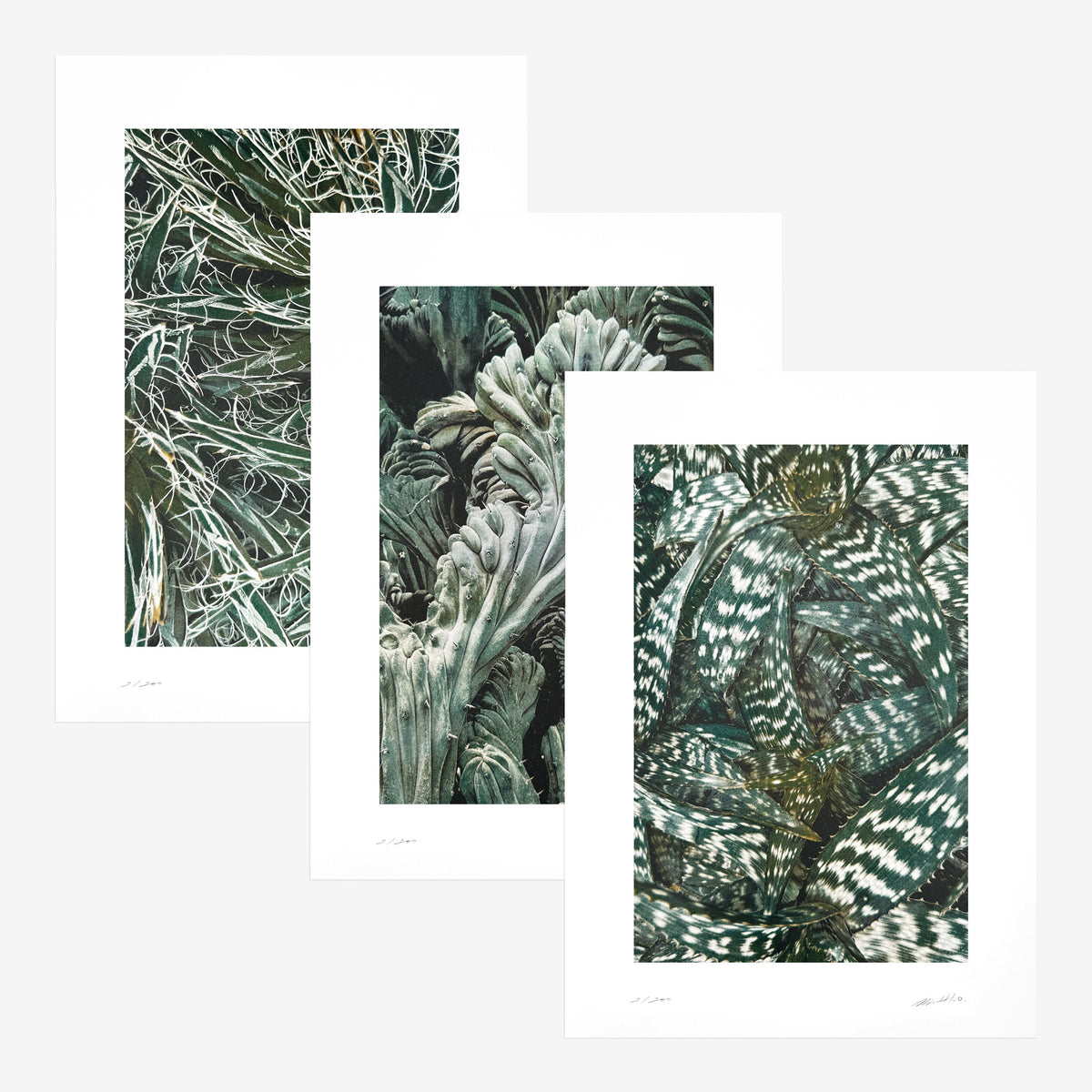 Kunstdrucke Quiet Water – 3er-Set
