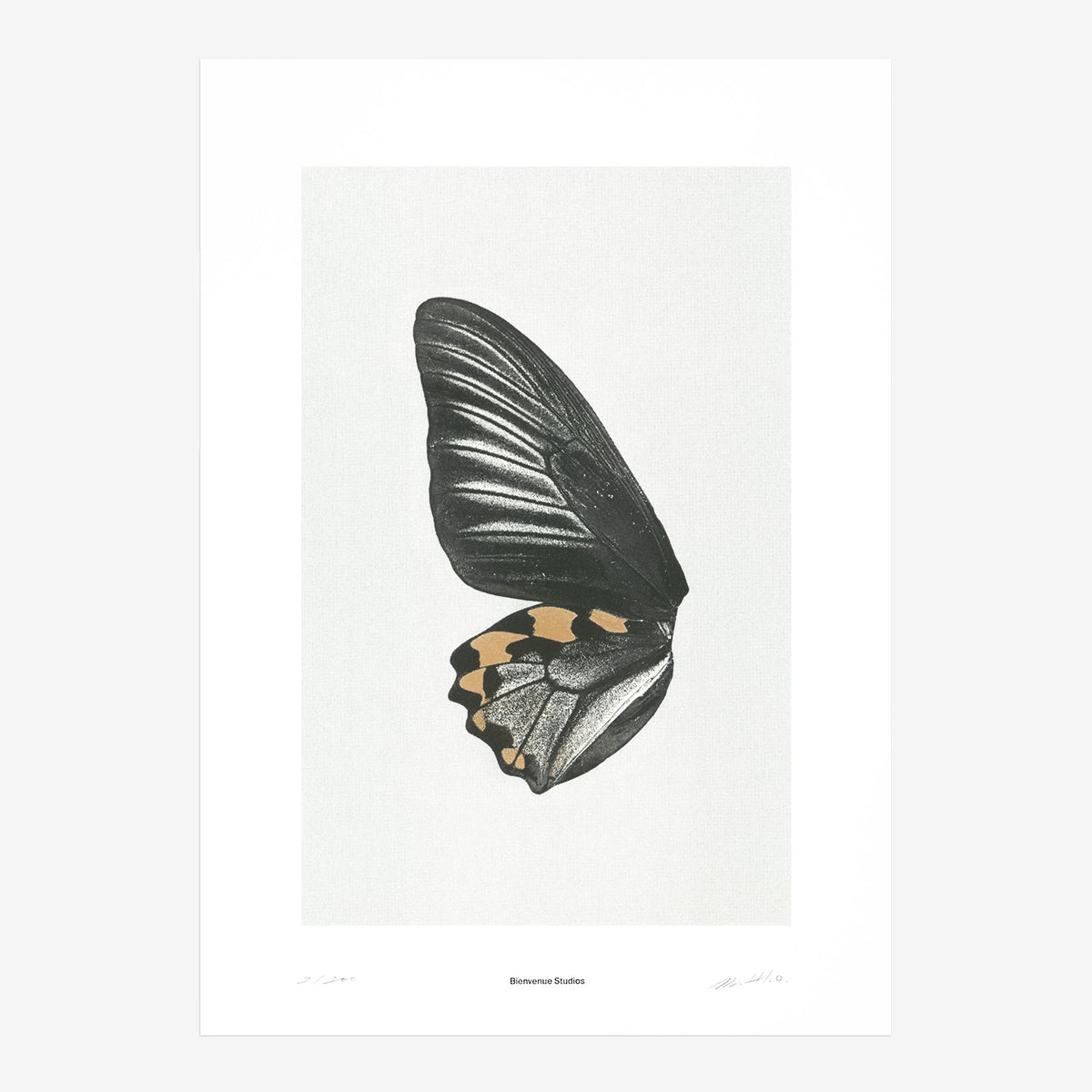 Kunstdruck Sun Fluttering N° 1