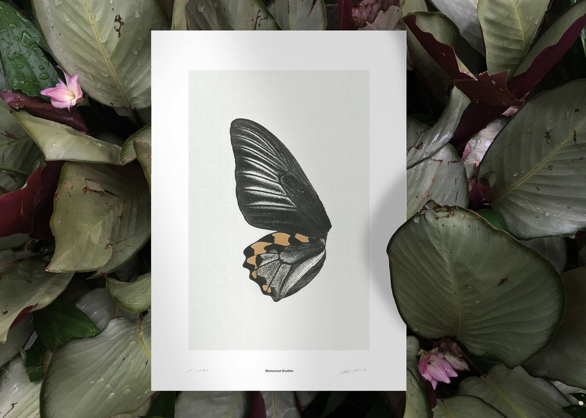 Kunstdruck Sun Fluttering N° 1