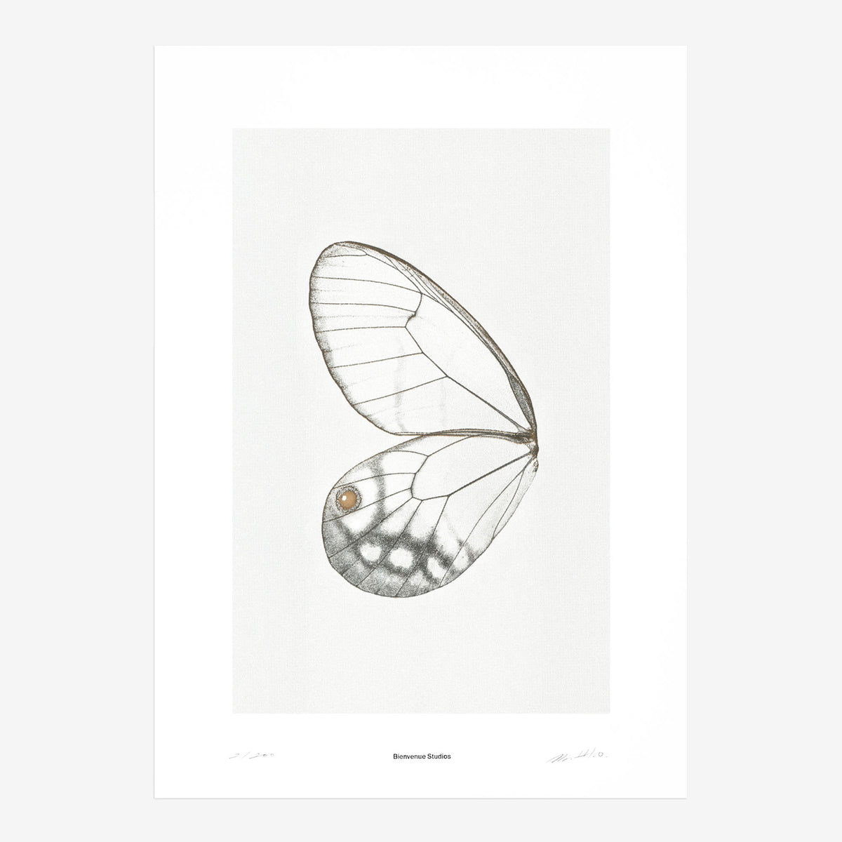 Kunstdruck Sun Fluttering N° 2