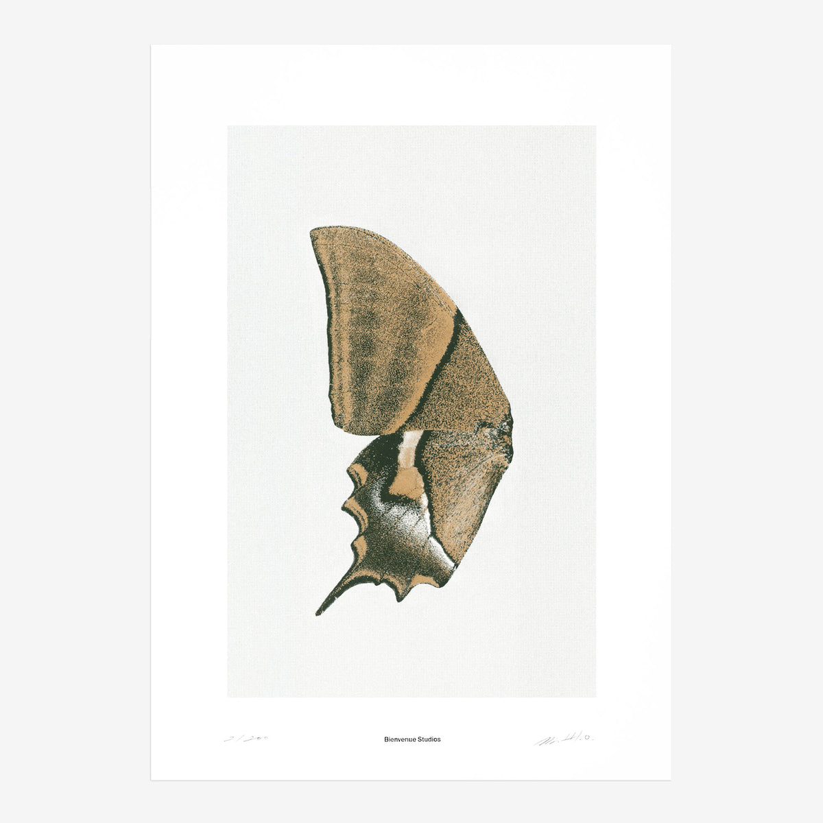 Kunstdruck Sun Fluttering N° 3