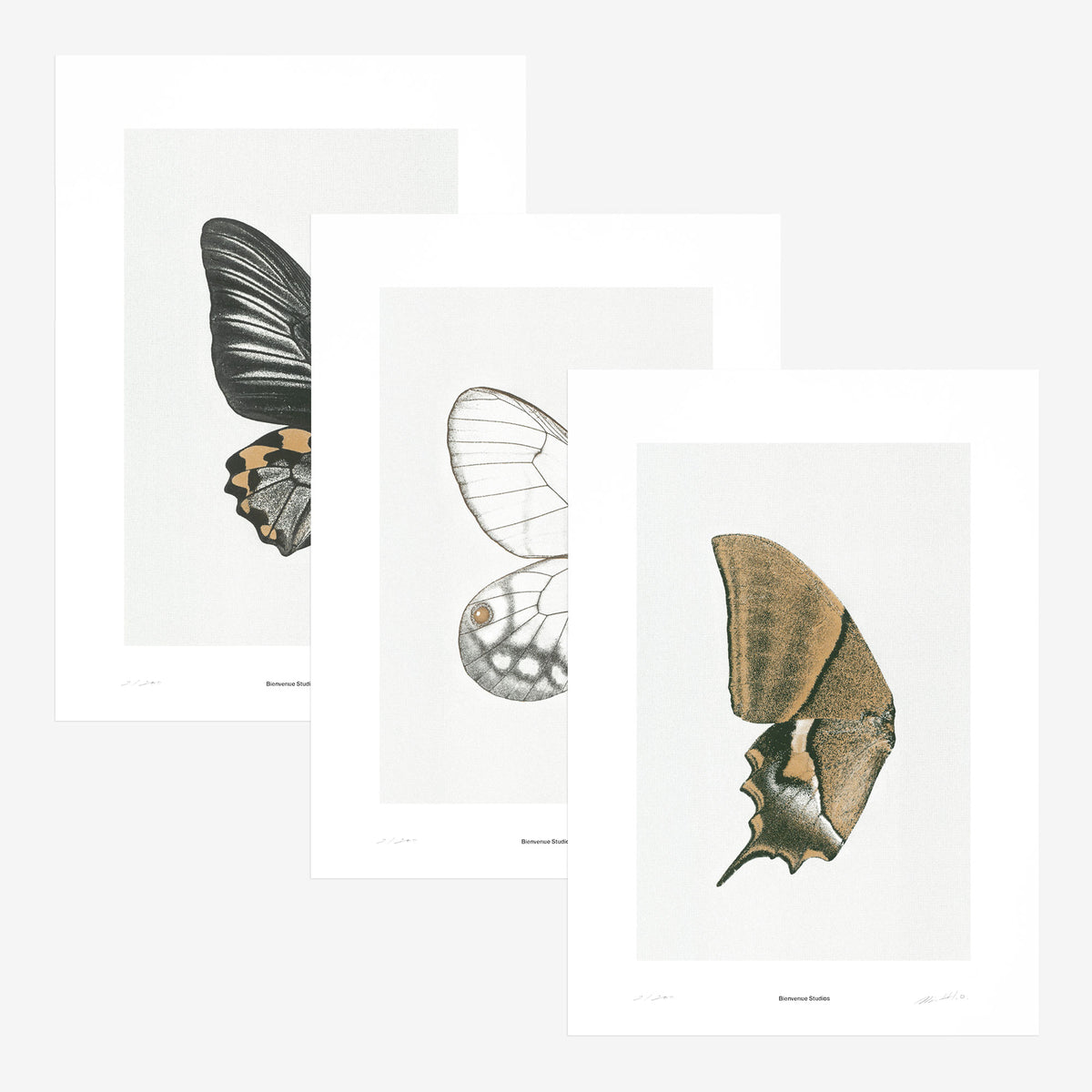 Kunstdrucke Sun Fluttering – 3er-Set