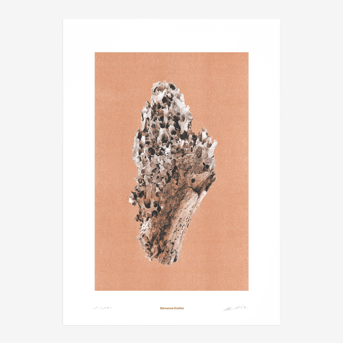 Kunstdruck Virtues of Wood N° 1