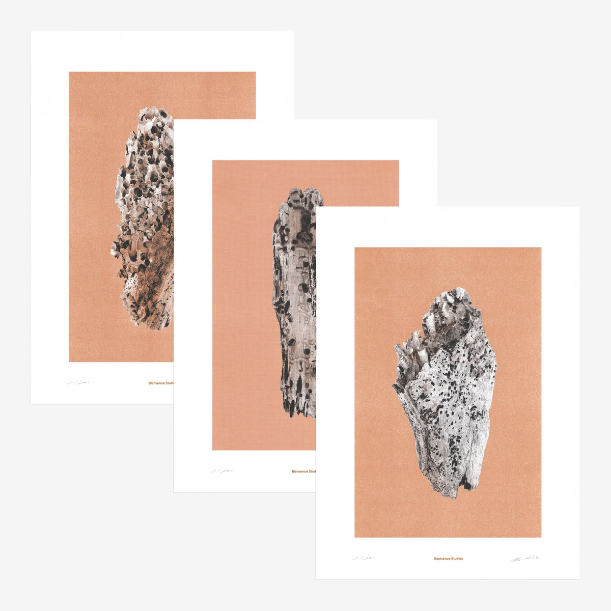 Kunstdrucke Virtues of Wood – 3er-Set