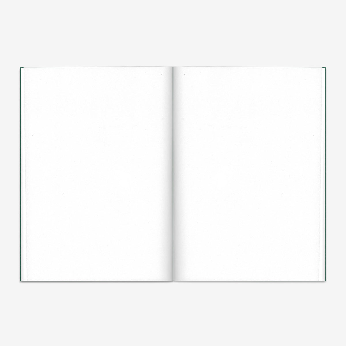 Notebook Set – Forest-4
